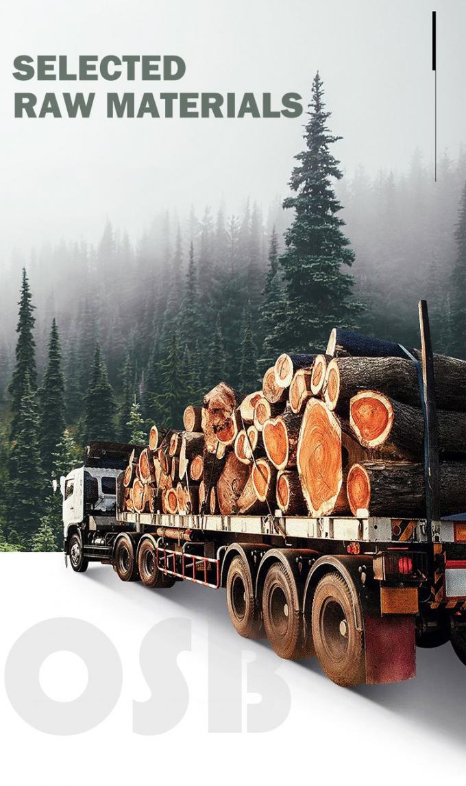 Panneaux de particules orientées (OSB) 6-25mm pour planchers / plafonds / murs / cuisine 1